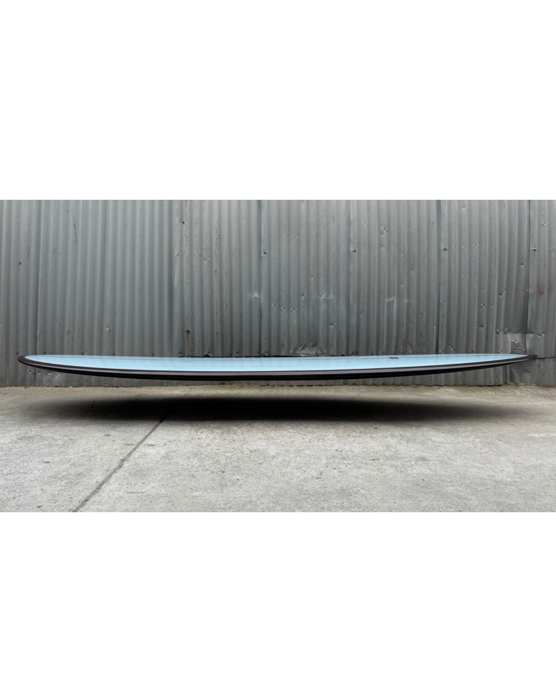 9'6" Pintail Noserider
