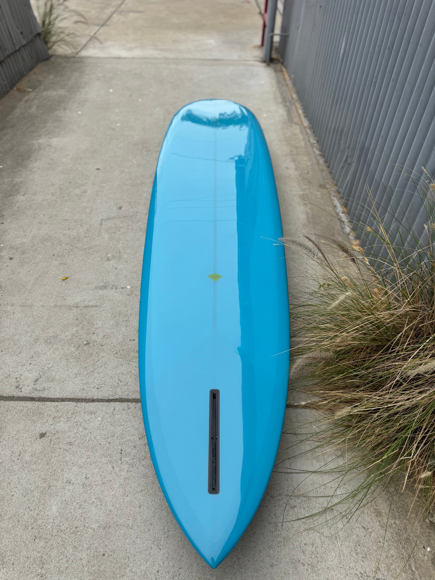 9’4” Pintail Noserider