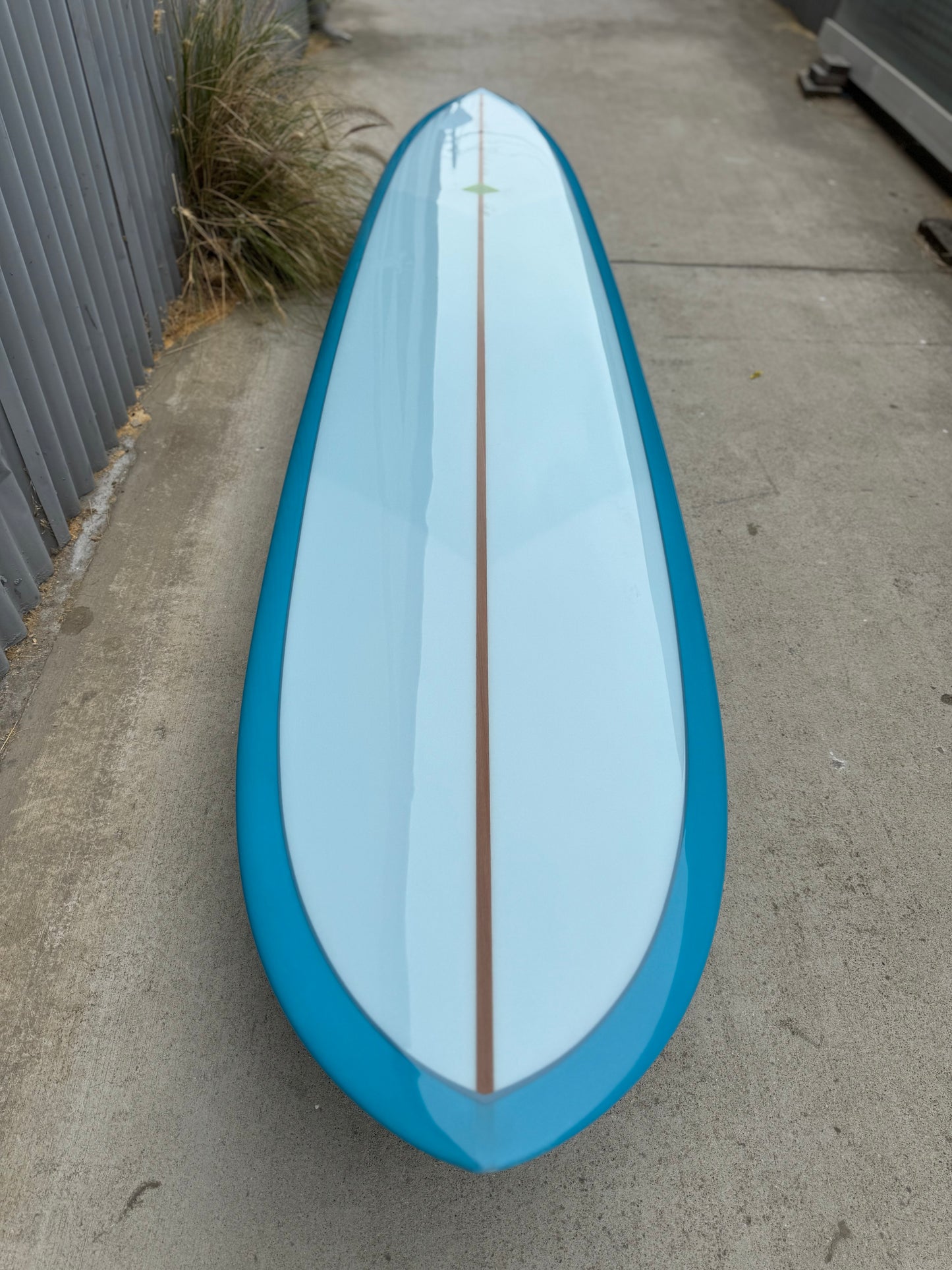 9’4” Pintail Noserider
