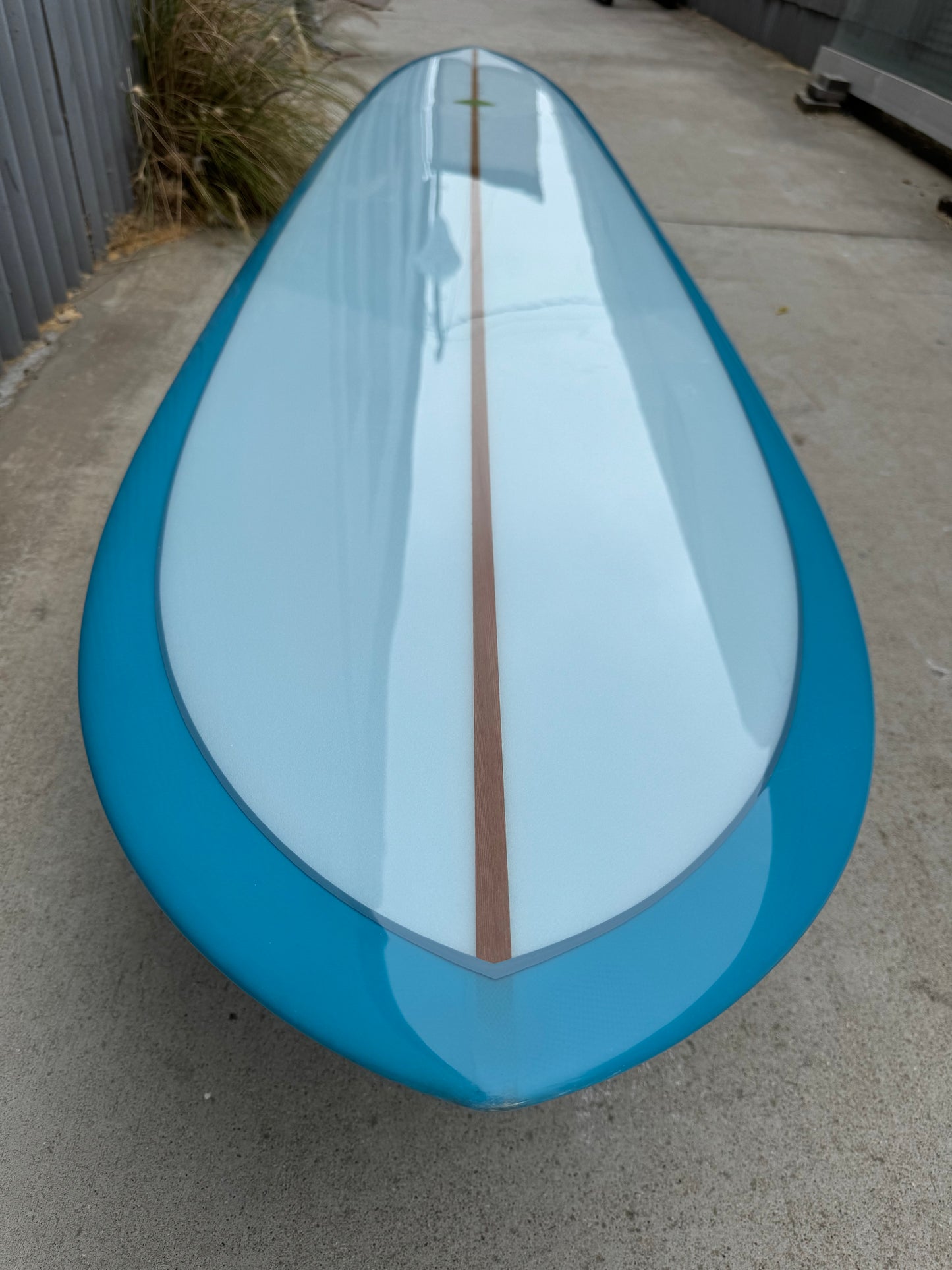 9’4” Pintail Noserider