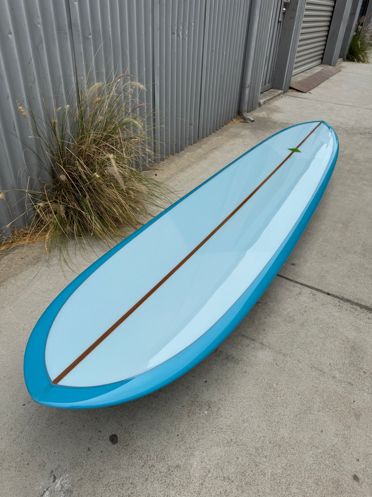 9’4” Pintail Noserider