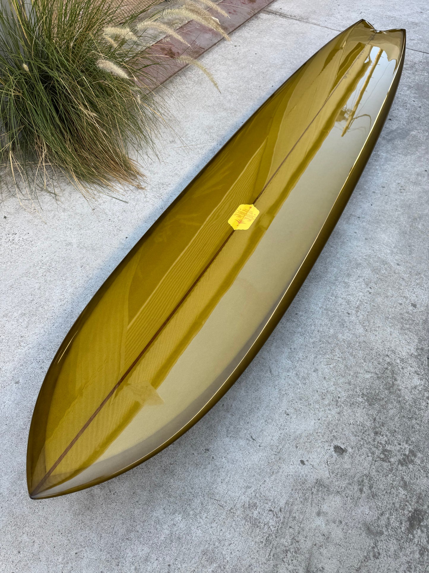 9'6" Calyma Fish