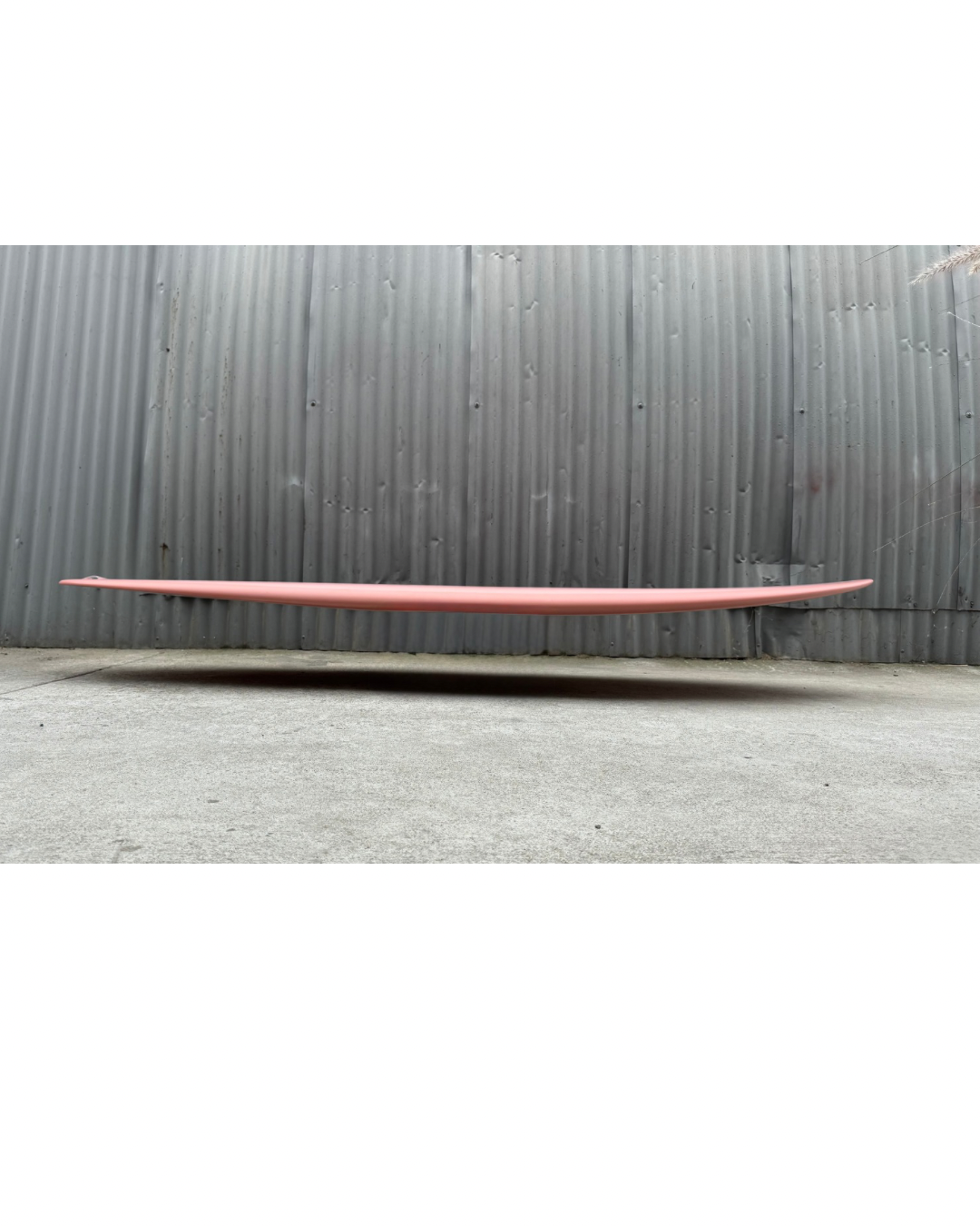 7'6" Panacea Egg