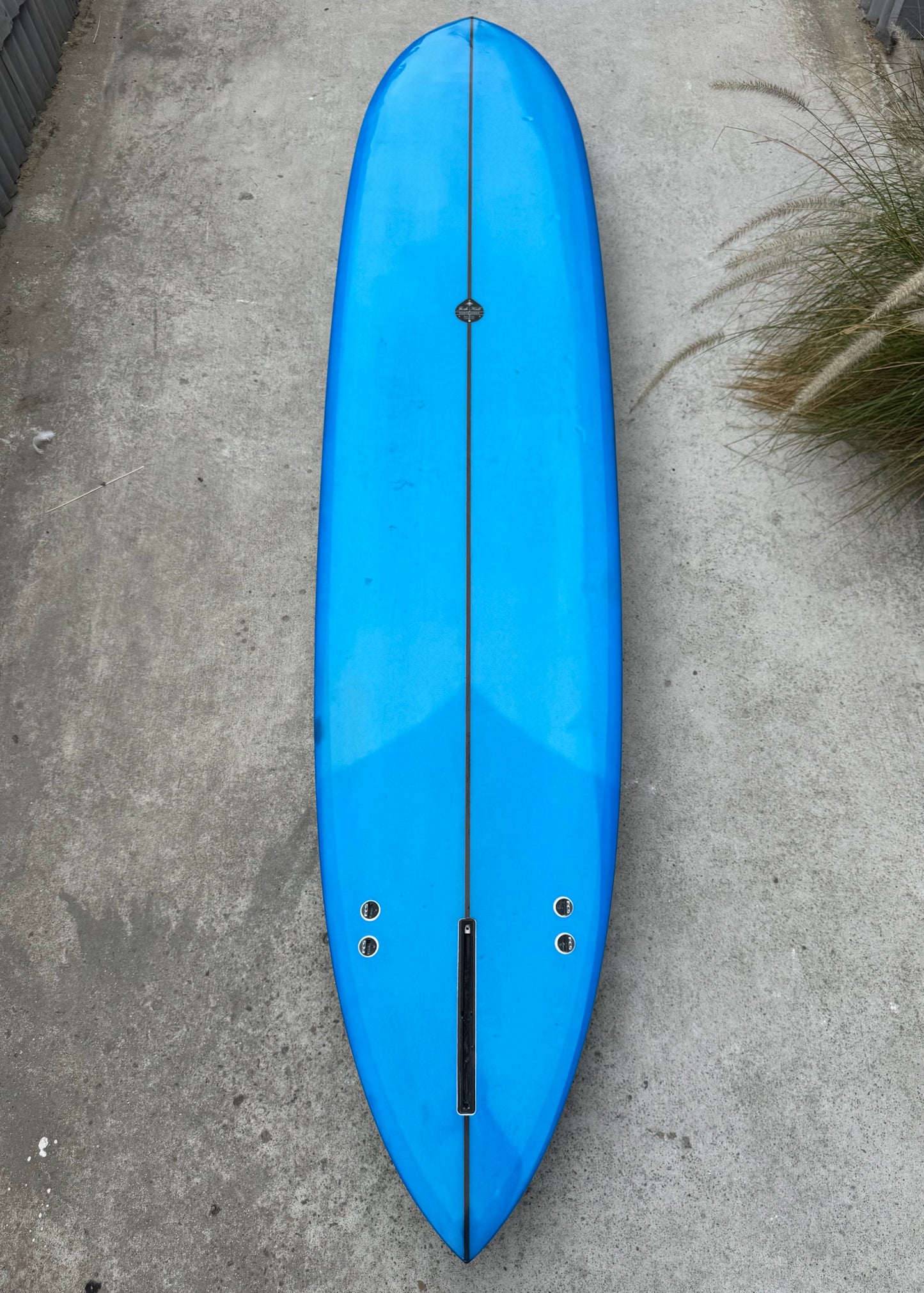 9'6" Eagle - used