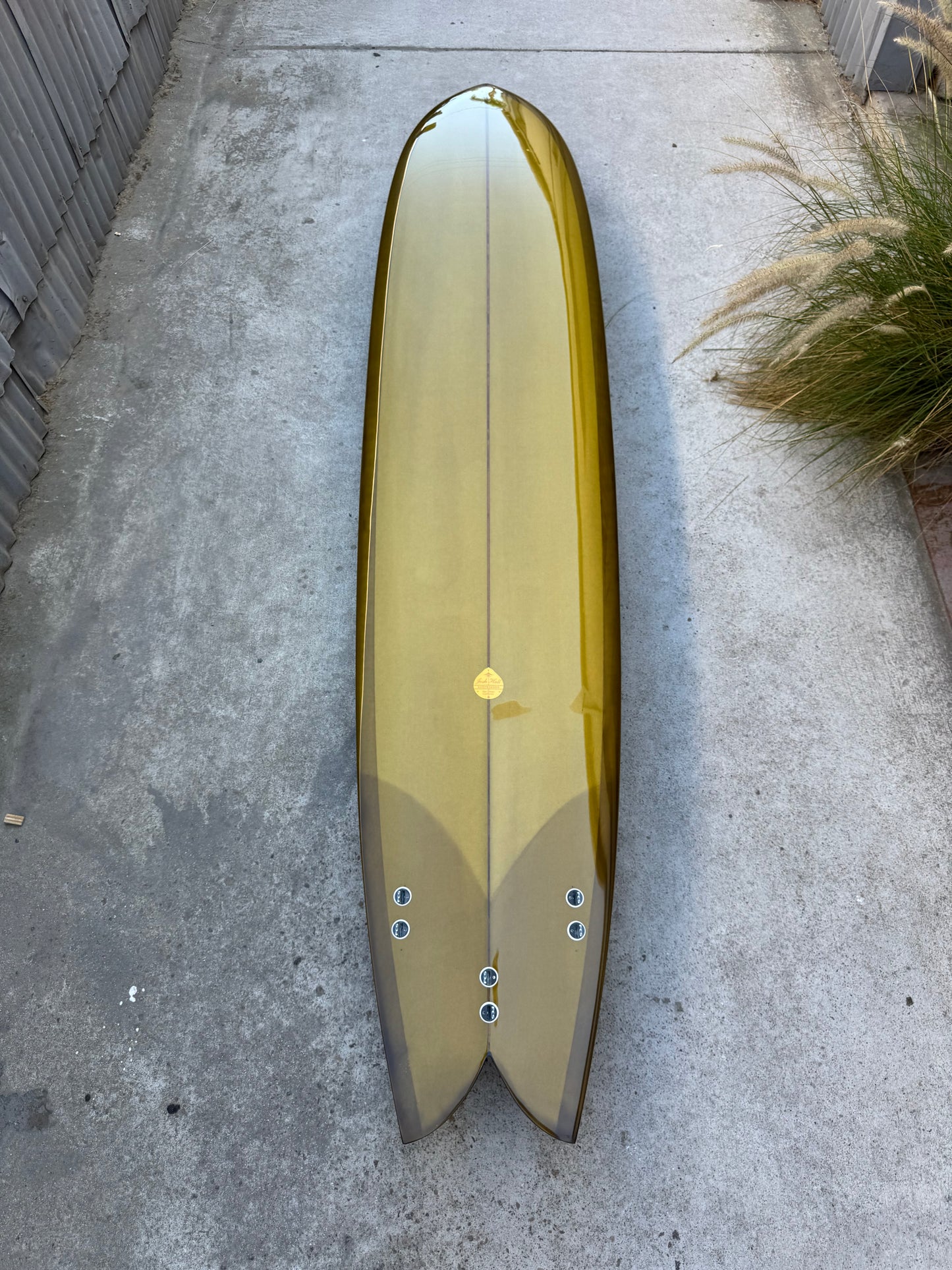 9'6" Calyma Fish