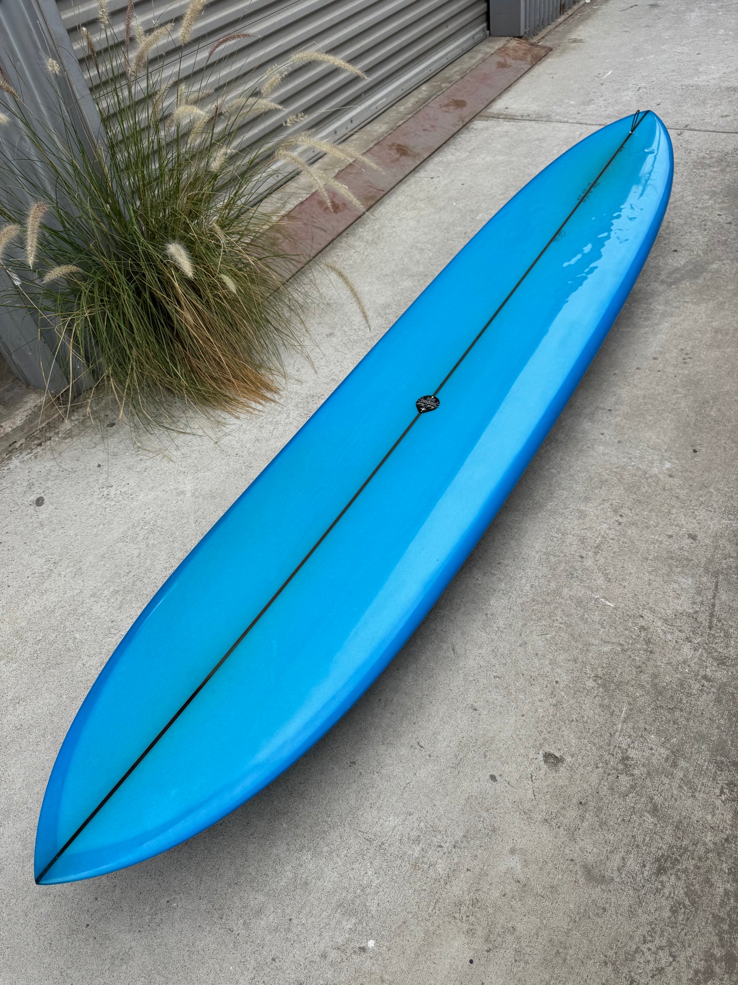 9'6" Eagle - used