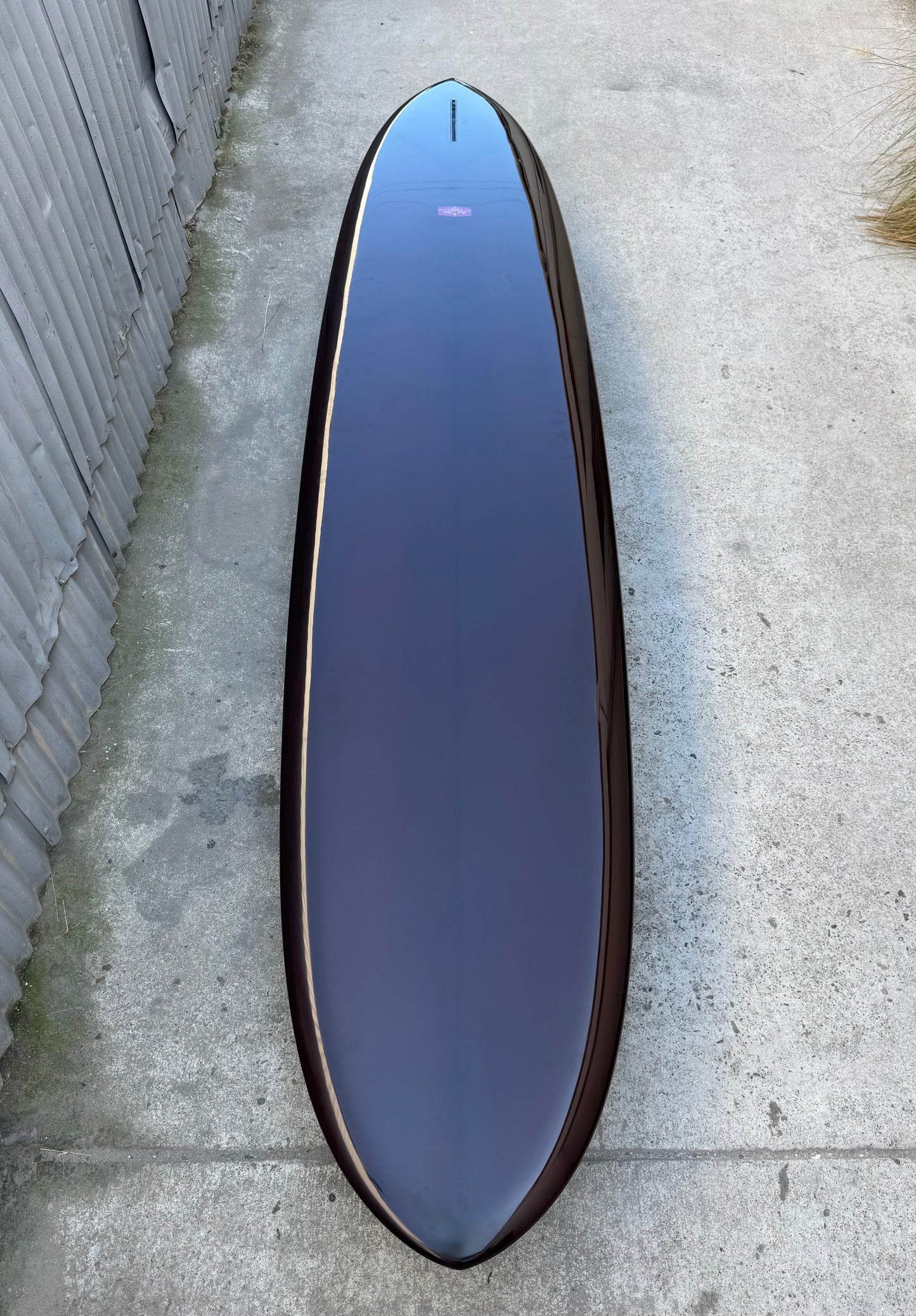 9'6" Pintail Noserider