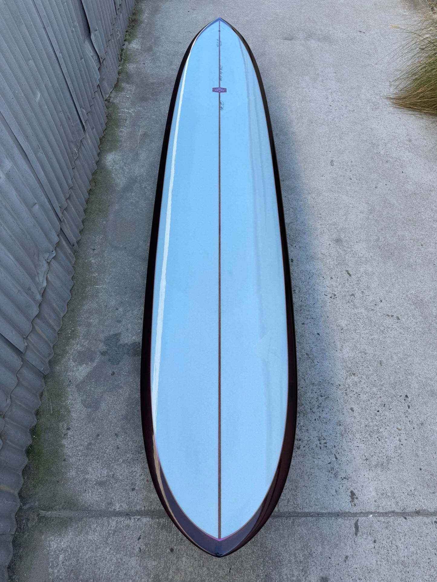 9'6" Pintail Noserider