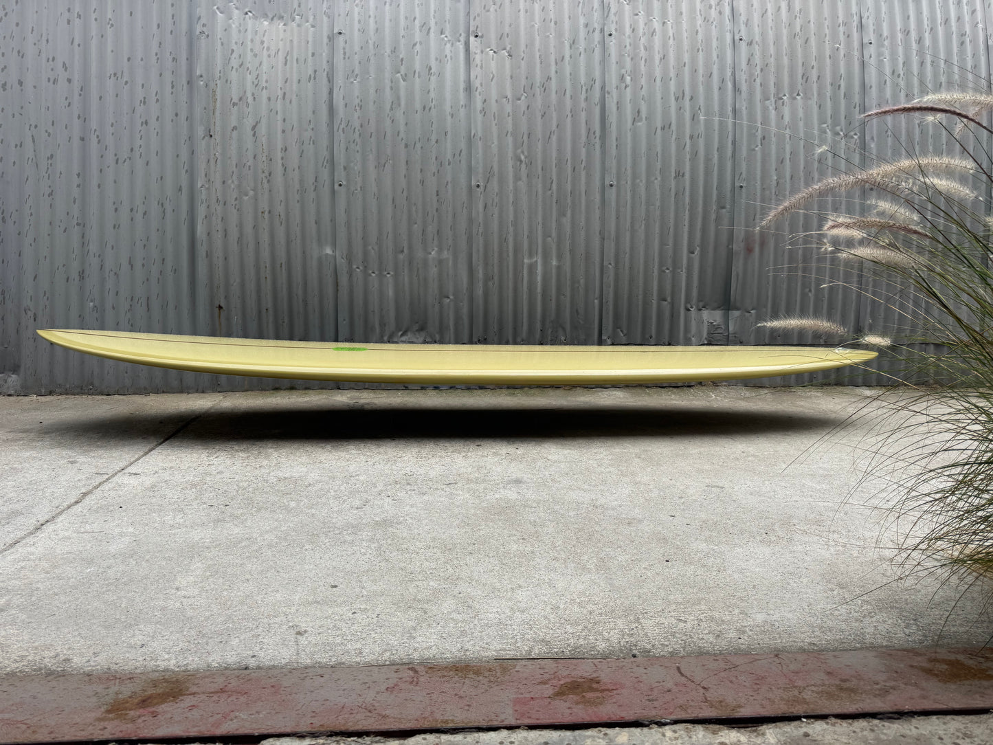 10'6" Eagle